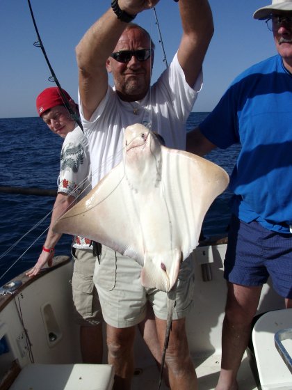 Eagle Ray Eagle Ray